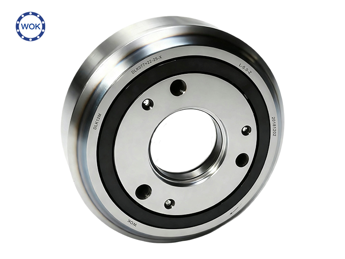 DGW12M/DLK077×22-25-X