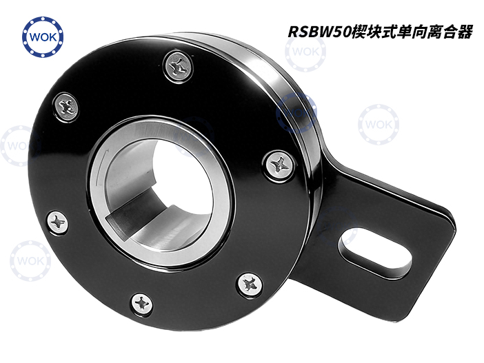 RSBW50楔塊式單向離合逆止器